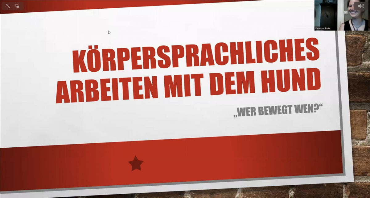 Körpersprachliches Arbeiten mit dem Hund.