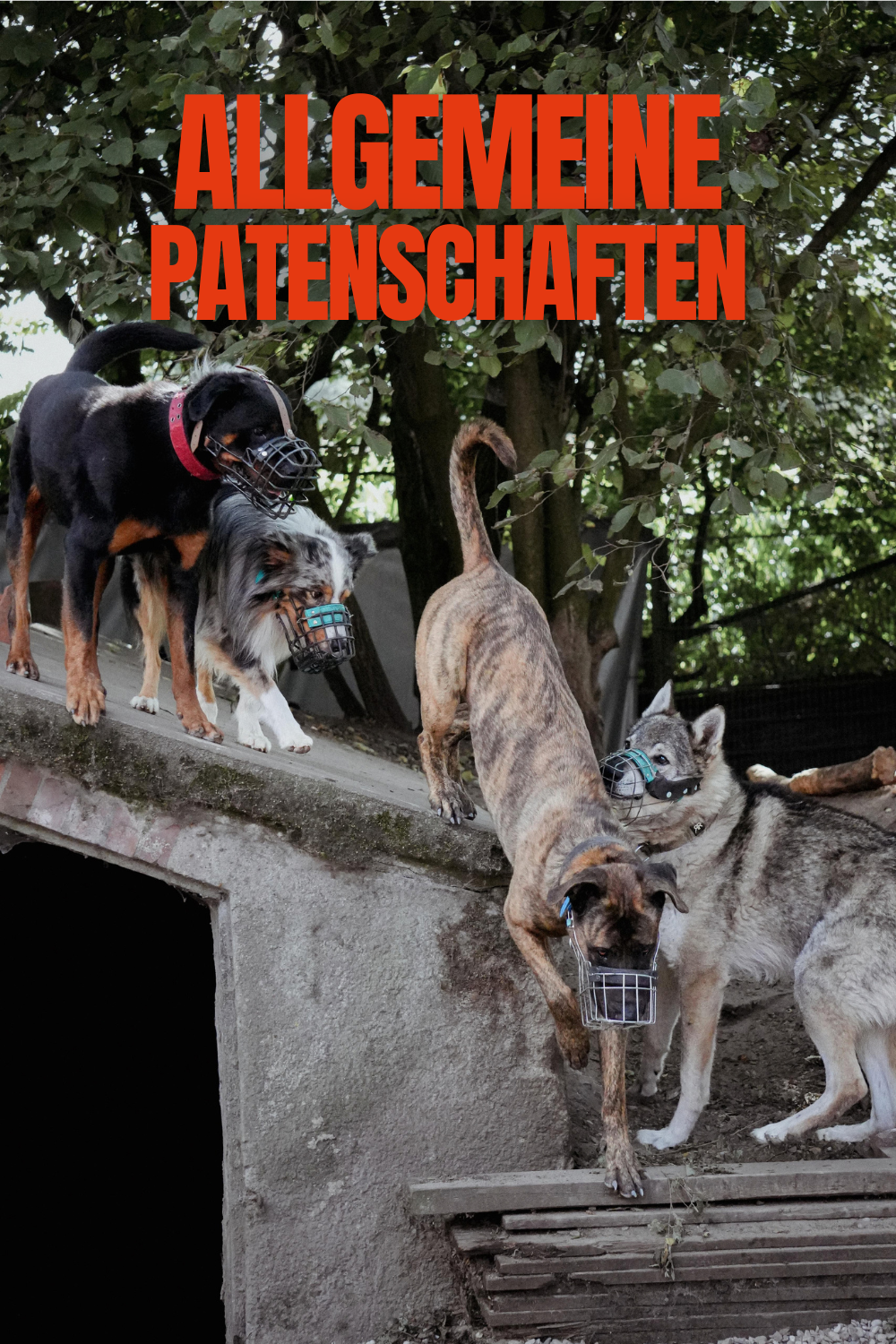 Allgemeine Patenschaften