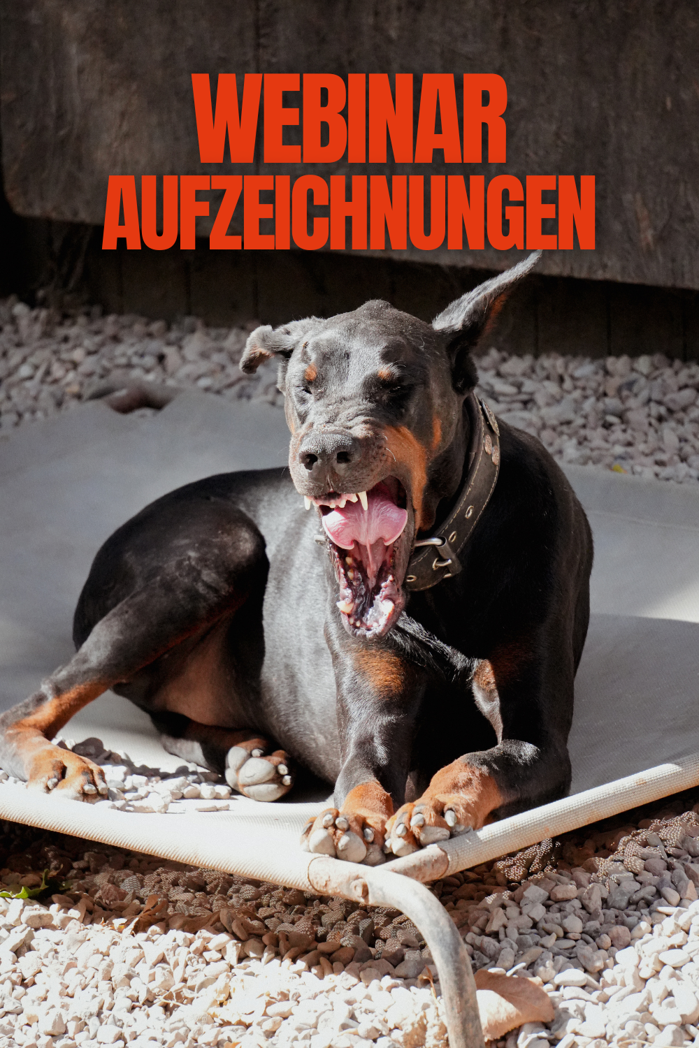 Aufzeichnungen Webinare