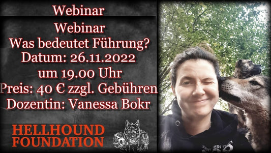 Was bedeutet Führung?