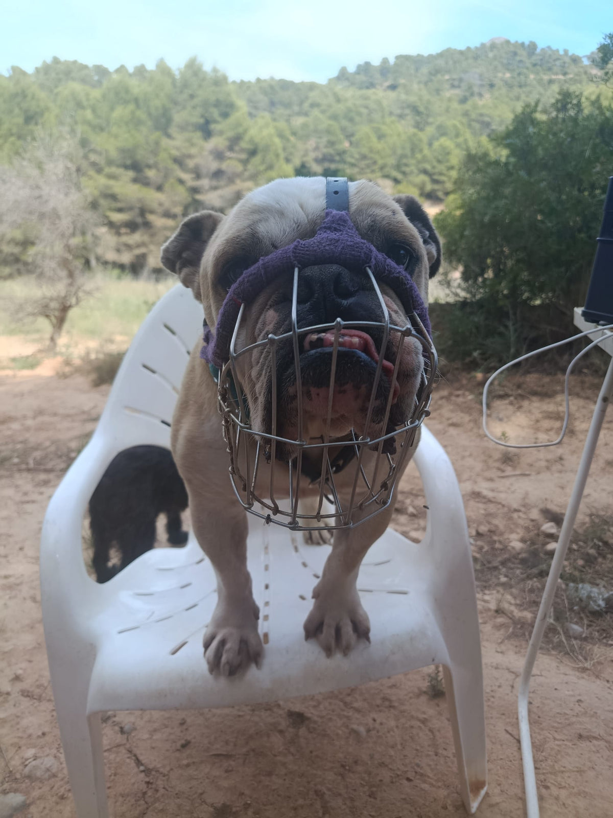 HUGO