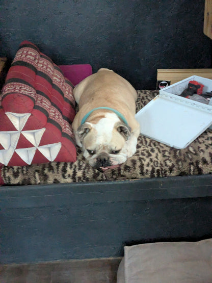 HUGO