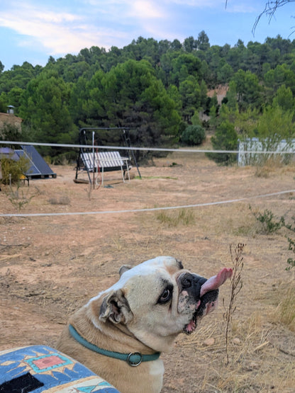 HUGO