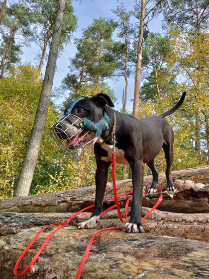 TYSON