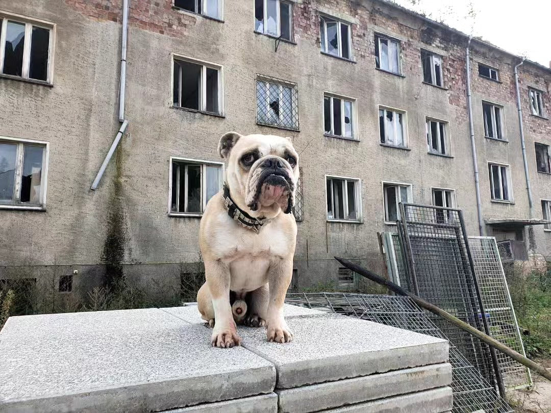 HUGO