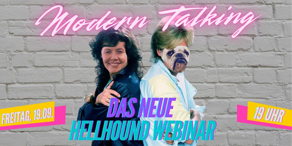 MODERN TALKING - Nonverbal Führen.