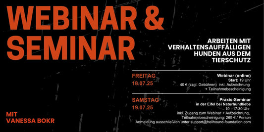 Arbeiten mit verhaltensauffälligen Hunden aus dem Tierschutz