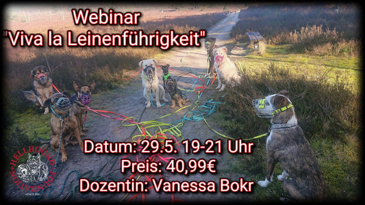 Viva la Leinenführigkeit